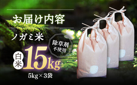 【 令和6年産】弥山岳の岩清水で育ったノガミファームの お米 白米 15kg ( 5kg ×3袋） 桂川町/NOGAMI FARM [ADAU006] 米 白米 お米 コメ こめ 小分け 農家 直送 