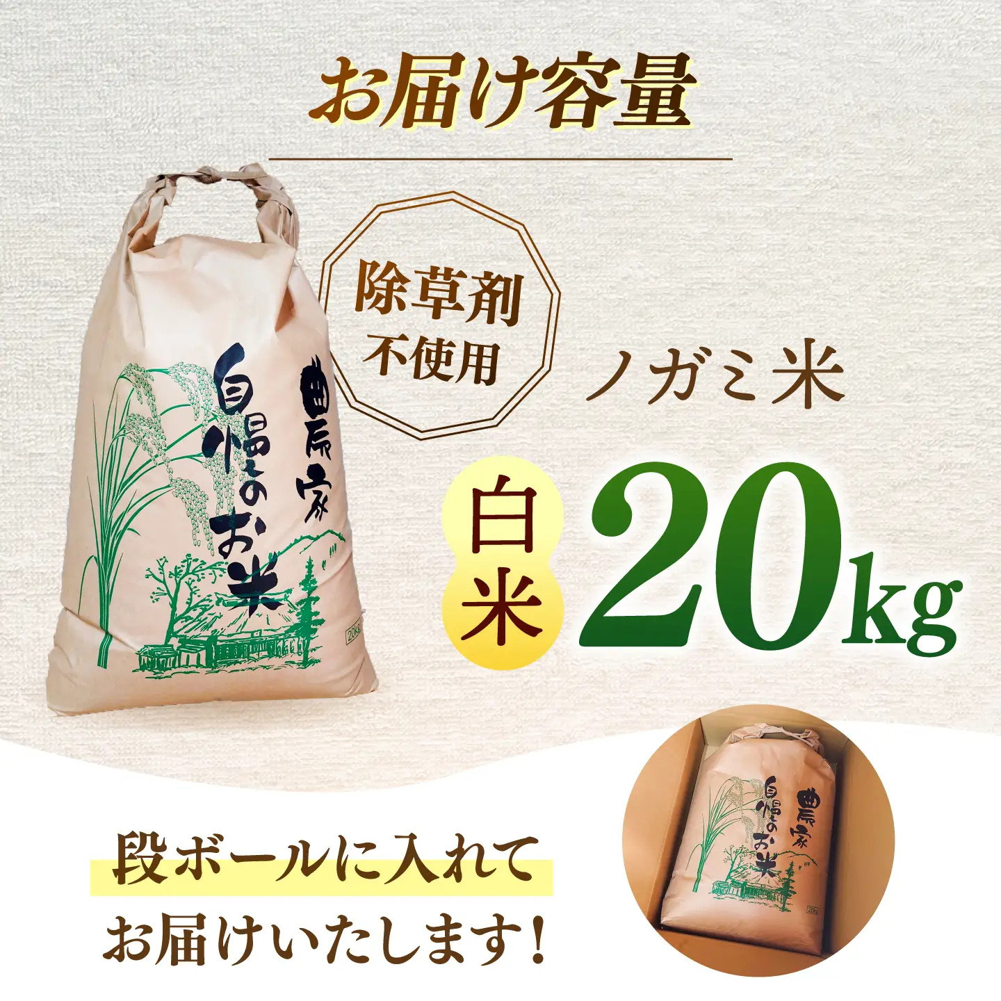 【 令和7年産】弥山岳の岩清水で育ったノガミファームの お米 白米 20kg 桂川町/NOGAMI FARM [ADAU007] 白米 お米 コメ こめ 小分け 農家 直送