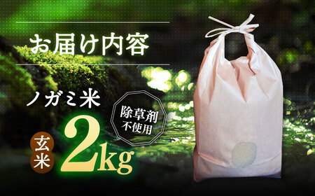 【 令和6年産】弥山岳の岩清水で育ったノガミファームの お米 玄米 2kg ▼ 玄米 米 コメ お米 2kg 農家 直送 桂川町/NOGAMI FARM [ADAU008]