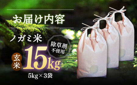 【 令和6年産】弥山岳の岩清水で育ったノガミファームの お米 玄米 15kg ( 5kg ×3袋） 桂川町/NOGAMI FARM [ADAU011] 玄米 米 コメ お米 15kg 農家 直送 