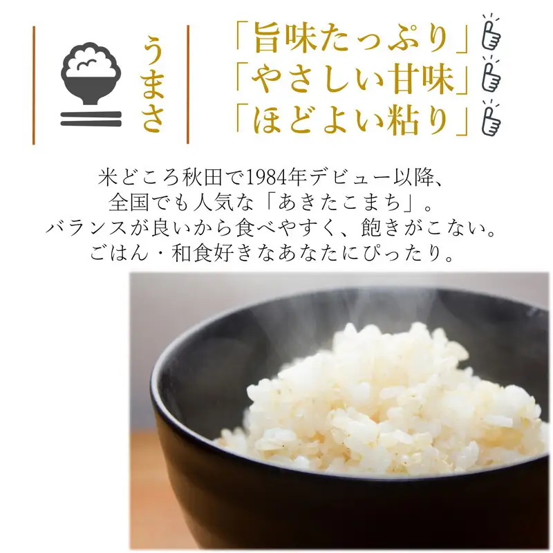令和7年産 あきたこまち 精米 10kg（5kg×2袋） 秋田県産 お米 米 ごはん ご飯 単一原料米  