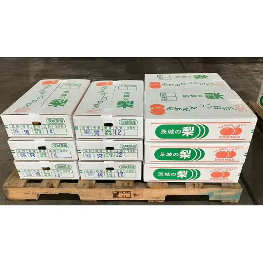 【 2026年9月下旬発送開始 】 茨城県産 梨 新高 （約 5kg ） 6～12玉