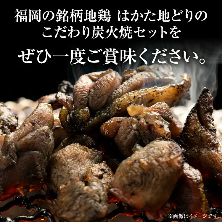はかた地どり炭火焼セット500g（100g×5p） お取り寄せグルメ お取り寄せ お土産 九州 福岡土産 取り寄せ グルメ MEAT PLUS CP037