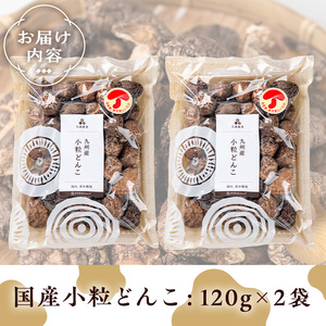 きのこ 国産 しいたけ(計240g・2袋)【九南サービス(タマチャンショップ)】A500-v01