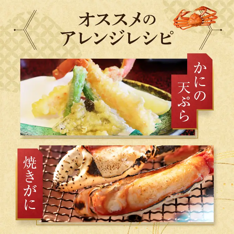生本ずわい蟹 棒肉 ポーション 500g かに ずわいがに かにしゃぶ _AF100