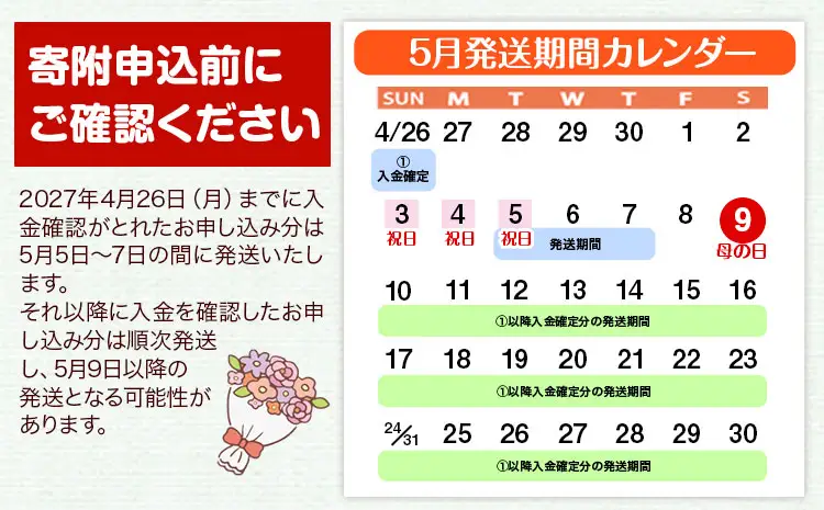 花 母の日 マザーズデイ フラワーバスケット 1個 椿原園《2027年5月上旬-5月末頃出荷》