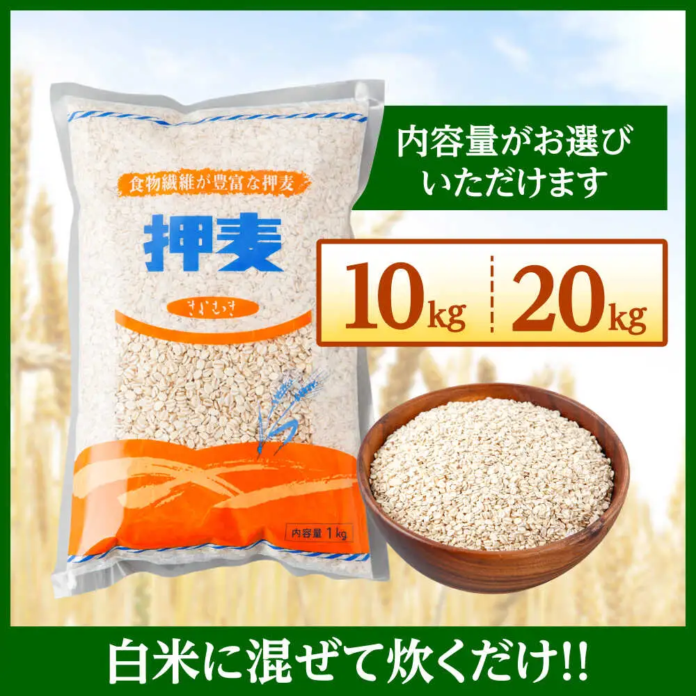 押麦「長崎御島」 1kg×10袋 計10kg / 麦 むぎ 押麦 はだか麦 麦味噌 雑穀 雑穀米 食物繊維 長崎県産 米 こめ コメ ※ / 諫早市 / 有限会社伊東精麦 [AHBU009]