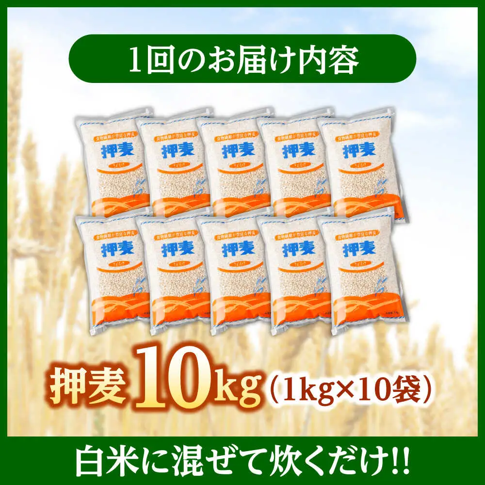 【3回定期便】押麦「長崎御島」 1kg×10袋 計10kg / 麦 むぎ 押麦 はだか麦 麦味噌 雑穀 雑穀米 食物繊維 小分け 長崎県産 米 こめ コメ ※ / 諫早市 / 有限会社伊東精麦 [AHBU010]