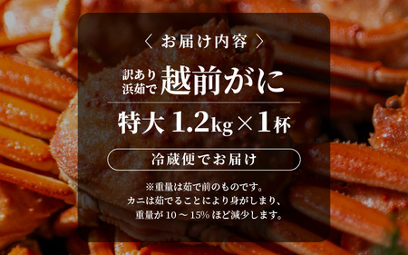 先行予約【冷蔵】越前がに 訳あり 足折れ 特大 1杯 1.2kg以上（茹で前）【2027年1月上旬以降順次発送予定】 [m21-x007_01]