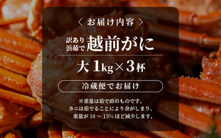 先行予約【冷蔵】越前がに 訳あり 足折れ 大 1.0kg以上（茹で前）×3杯 【2026年11月上旬以降順次発送予定】 [m21-x008_11]