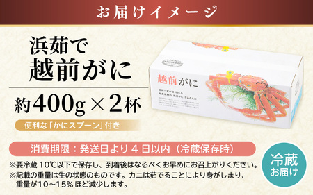 【先行予約】≪浜茹で≫ 地物！天然！はるか丸厳選！越前がに 約400g × 2杯【2026年11月中旬以降順次発送予定】獲れたて！茹でたてをお届けします！[m36-x001_11]