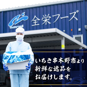 《期間限定》 国産 冷凍 アジフライ 25枚（5枚×6パック）　揚げるだけ アジフライ【99-117-03】