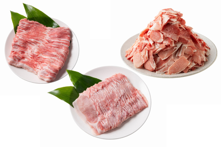 肉 定期便 6ヶ月 宮崎牛・豚 バラエティセット