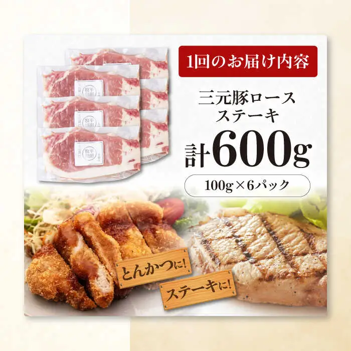 【全3回定期便】平田牧場 ロース ステーキ 600g  (100g×6枚) ※藻塩ナシ 豚肉 とんかつ 生姜焼き[AJAP087]