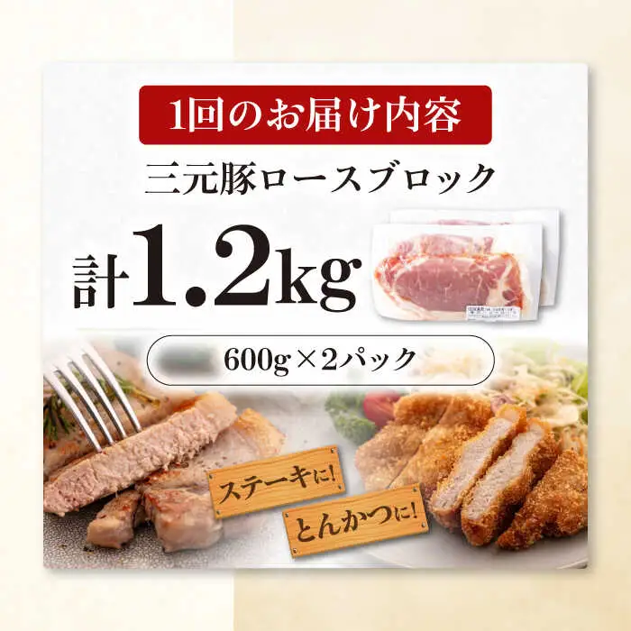 【全3回定期便】平田牧場 ロース ブロック 1.2kg (600g×2P) 豚肉 ローストポーク 煮豚 [AJAP099]