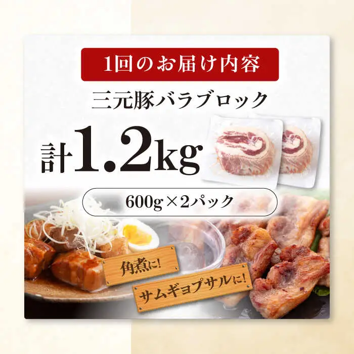 【全6回定期便】平田牧場 バラ ブロック 1.2kg (600g×2P) 豚肉 煮豚 [AJAP108]