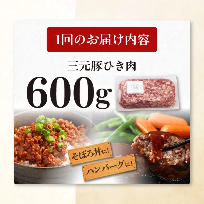 【全2回定期便】平田牧場 ひき肉 600g  豚肉 餃子 つくね [AJAP118]