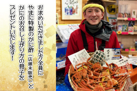 【1月発送】【先行予約】【訳あり】越前がに（小）2～3杯 指折れ 越前ズワイガニ [C-4352_01]