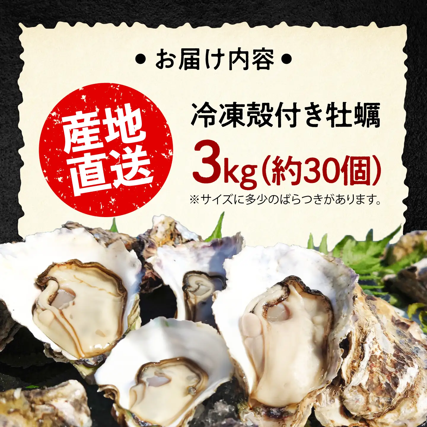 冷凍牡蠣 殻付き3kg 牡蠣[XAO030]