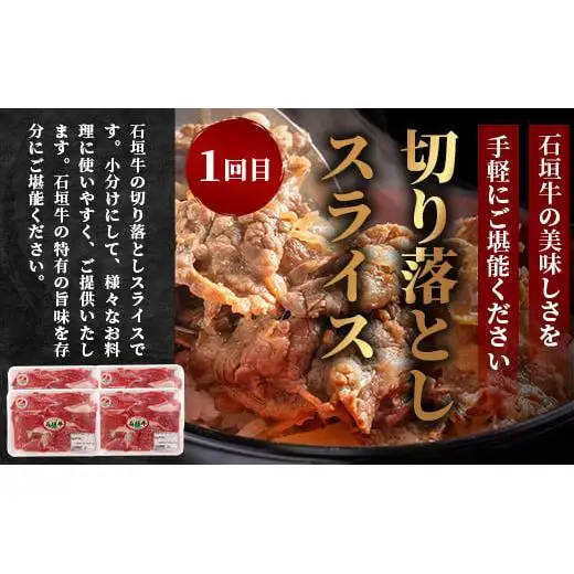 【全3回 定期便C】 石垣牛　切り落としスライス・ハンバーグ・肩ロースすきしゃぶ　計3.1kg（いしなぎ屋）　AB-31