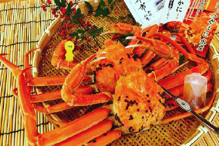 【3月発送】【先行予約】【訳あり】越前がに（中）2杯 指折れ 越前ズワイガニ [J-4304_03]