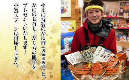 【2月発送】【先行予約】【訳あり】越前がに（大）1杯 1kg前後 越前ズワイガニ [K-4303_02]