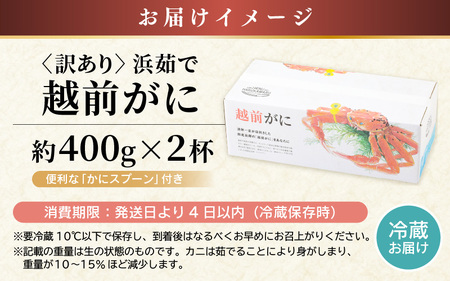 【先行予約】はるか丸厳選  訳あり 越前がに 約400g × 2杯【2027年3月上旬以降順次発送予定】茹でたて 越前がに [m36-x002_03]