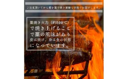 特選わら焼き戻り鰹のタタキ 約450g×2節 ニンニク1玉・たれ・薬味付き