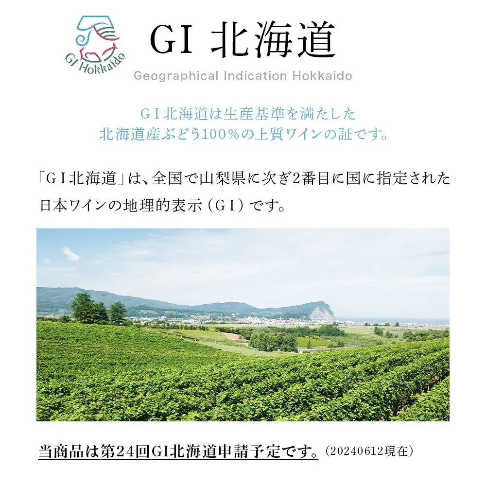 葡萄作りの匠 北島秀樹ピノ・ノワール ブラン･ド･ノワール2023 750ml 2本_Y020-0653