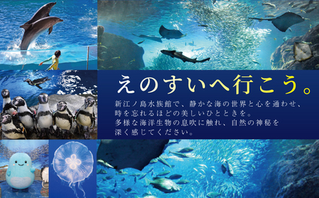 【新江ノ島水族館】 年間パスポート 引換券 大人1枚  | 水族館 チケット