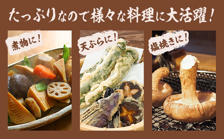 訳あり 菌床 椎茸 2kg (サイズ未選別・不揃い) motochi農園 岩手県九戸村