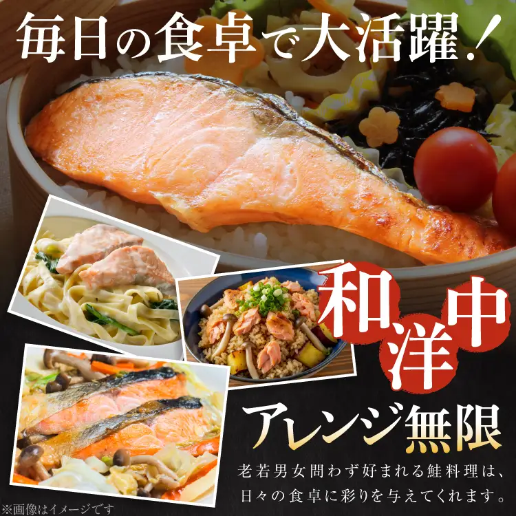 訳あり 銀鮭 切身 約1kg  サケ しゃけ 魚 鮭