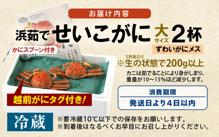 【先行予約】≪浜茹で≫ 天然！越前 せいこがに 大サイズ× 2杯 (生の状態で1杯200g以上)【2026年12月上旬以降順次発送予定】ズワイガニ メス [m36-x008_12]