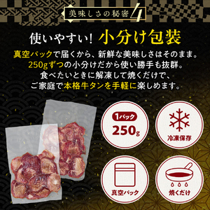 牛タン 塩味 厚切り牛タン 750g 【KSD】