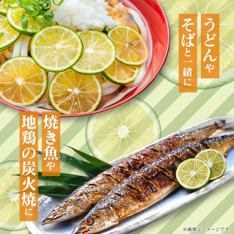 ＜2027年発送＞へべす 約1kg 宮崎県産