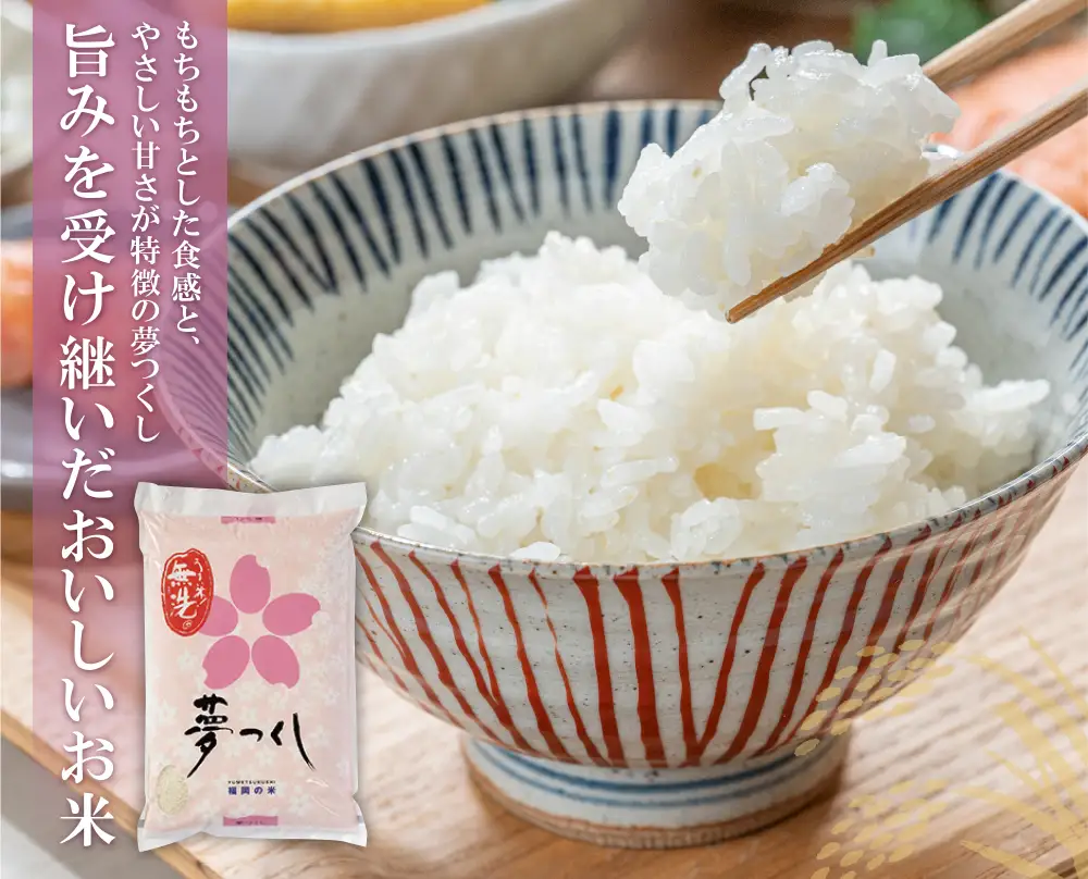 Z17-02 無洗米 福岡ブランド米3品種セット(各5kg)  ヒノヒカリ 夢つくし 元気つくし 米