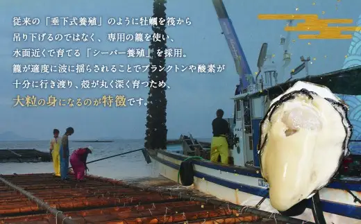 生食用 真牡蠣「ぷりみ」約1kg かき 牡蠣