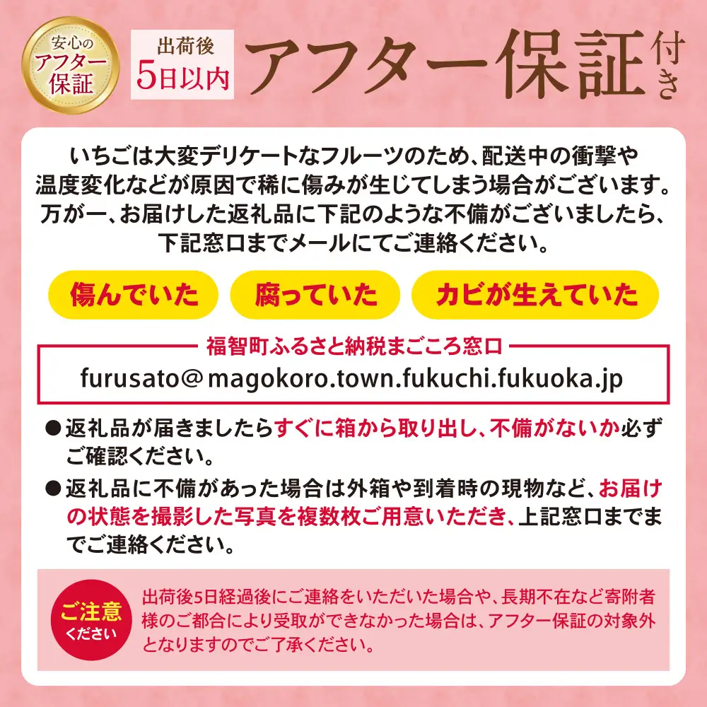 Z21-02 あまおう苺(4パック) いちご