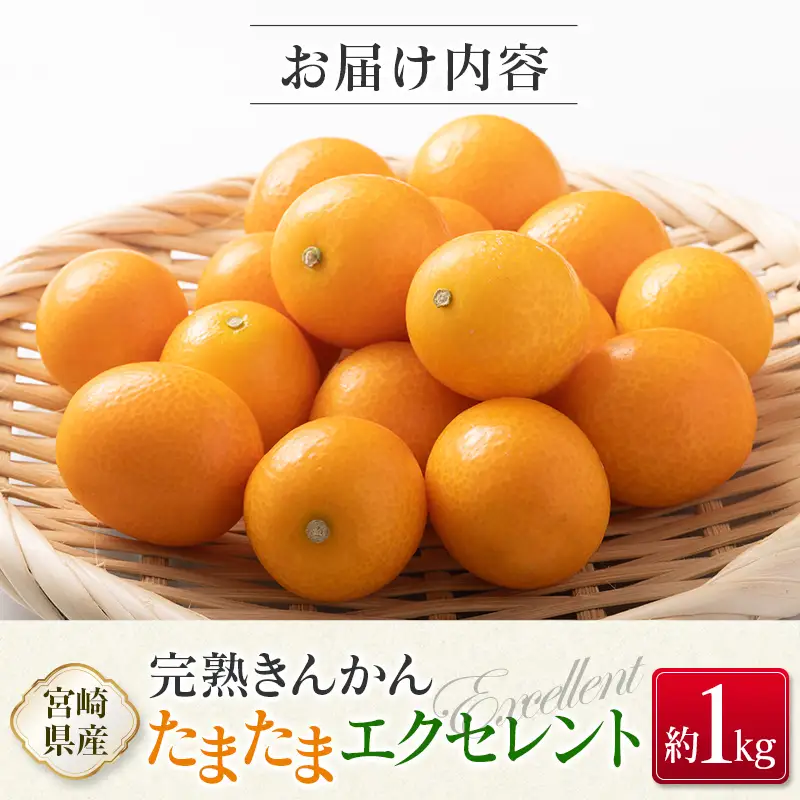 ＜2027年発送＞完熟きんかん「たまたまエクセレント」 糖度18度以上 約1kg 宮崎県産