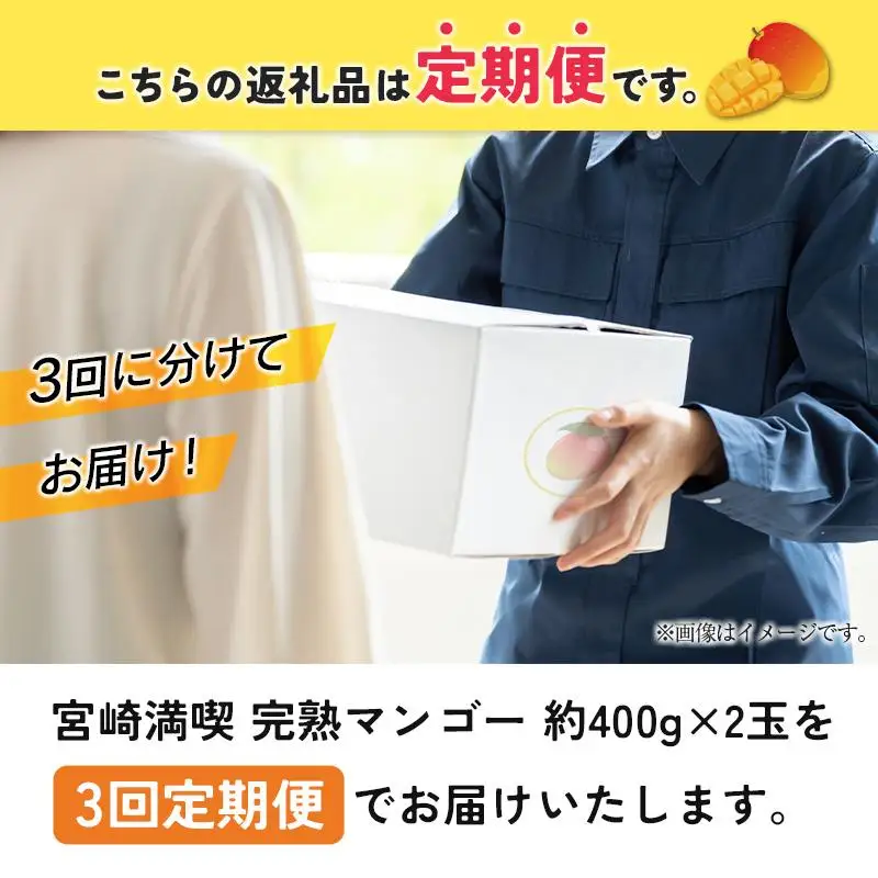 ＜2027年発送＞定期便 完熟マンゴー 約400g×2玉 全3回