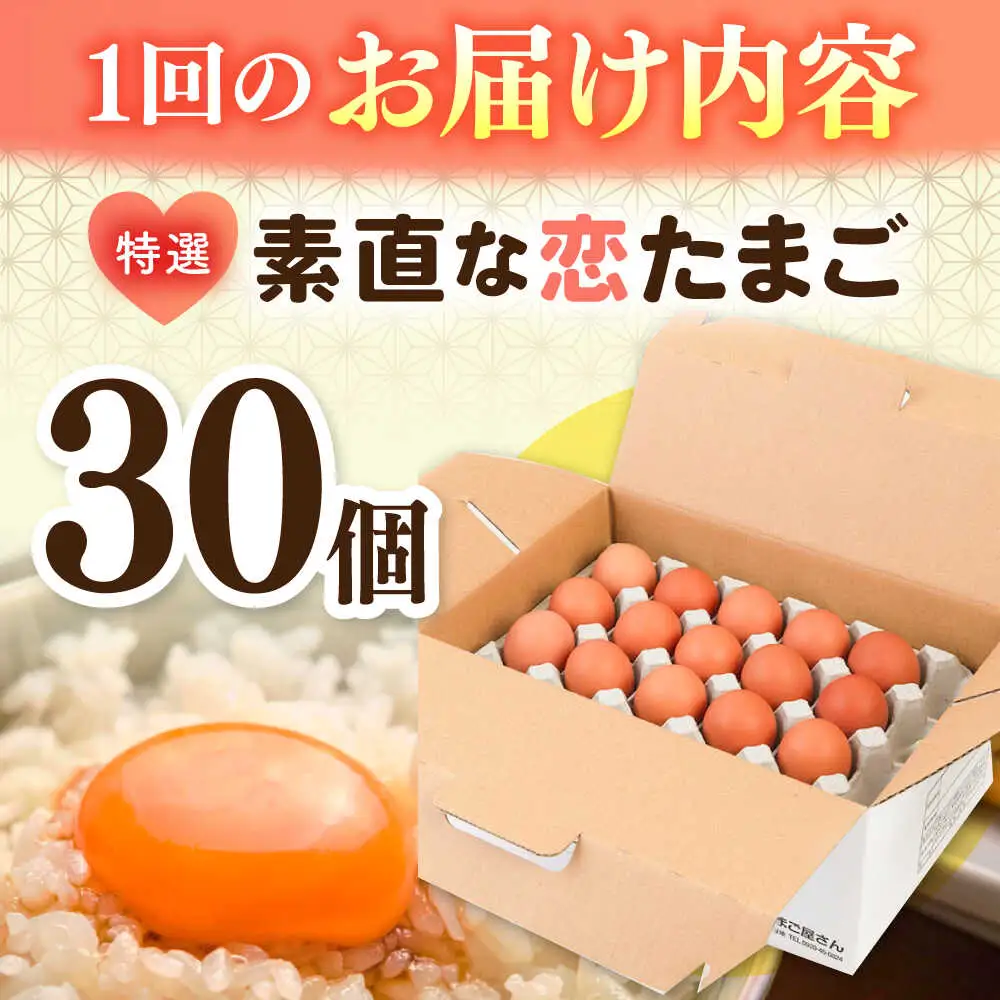 【全2回定期便】【特選卵】素直な恋たまご 30個 [JAP018]