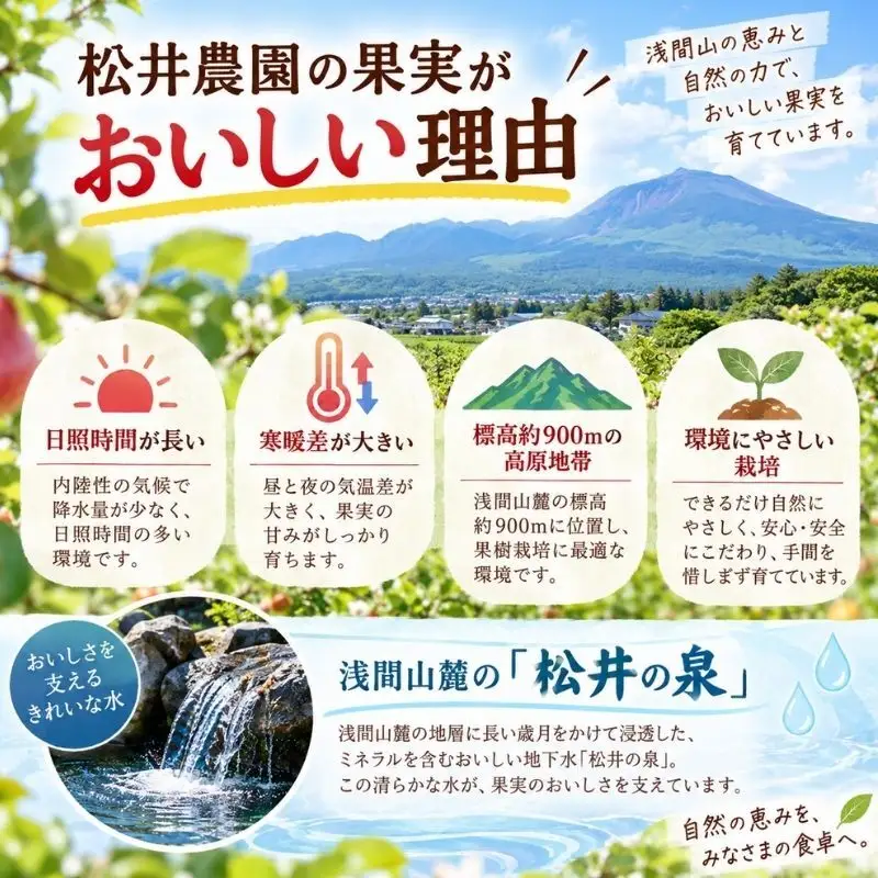 ジャム【紅玉りんごジャム（140g）２個セット】りんご リンゴ りんごジャム 紅玉 完熟 アップル 果物 ペースト トッピング  トースト ヨーグルト 信州 長野