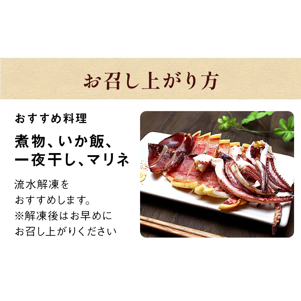 訳あり 石巻産 スルメイカ 5kg 大容量 不揃い 加熱用