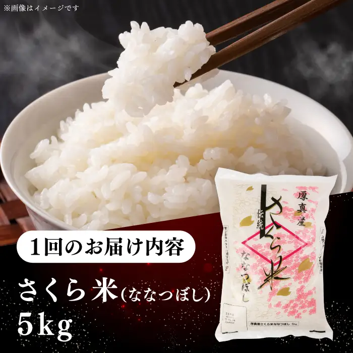 令和7年産 令和8年産 【全6回定期便】ななつぼし さくら米 5kg お米 一等米 北海道 [AXAB029]