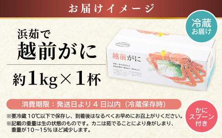【先行予約】越前がに 大サイズ（約1kg）× 1杯【年末発送】年内発送 越前がに  [m36-x005_99]