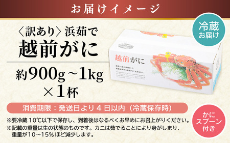 【先行予約】【訳あり】越前がに 大サイズ × 1杯【2027年2月上旬以降順次発送予定】獲れたて 越前がに [m36-x006_02]
