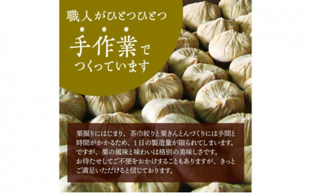 中津川銘菓：栗きんとん26個（10個入×2箱+6個入×1箱）[秋季限定] 信玄堂 【12月お届け】 F4N-2884