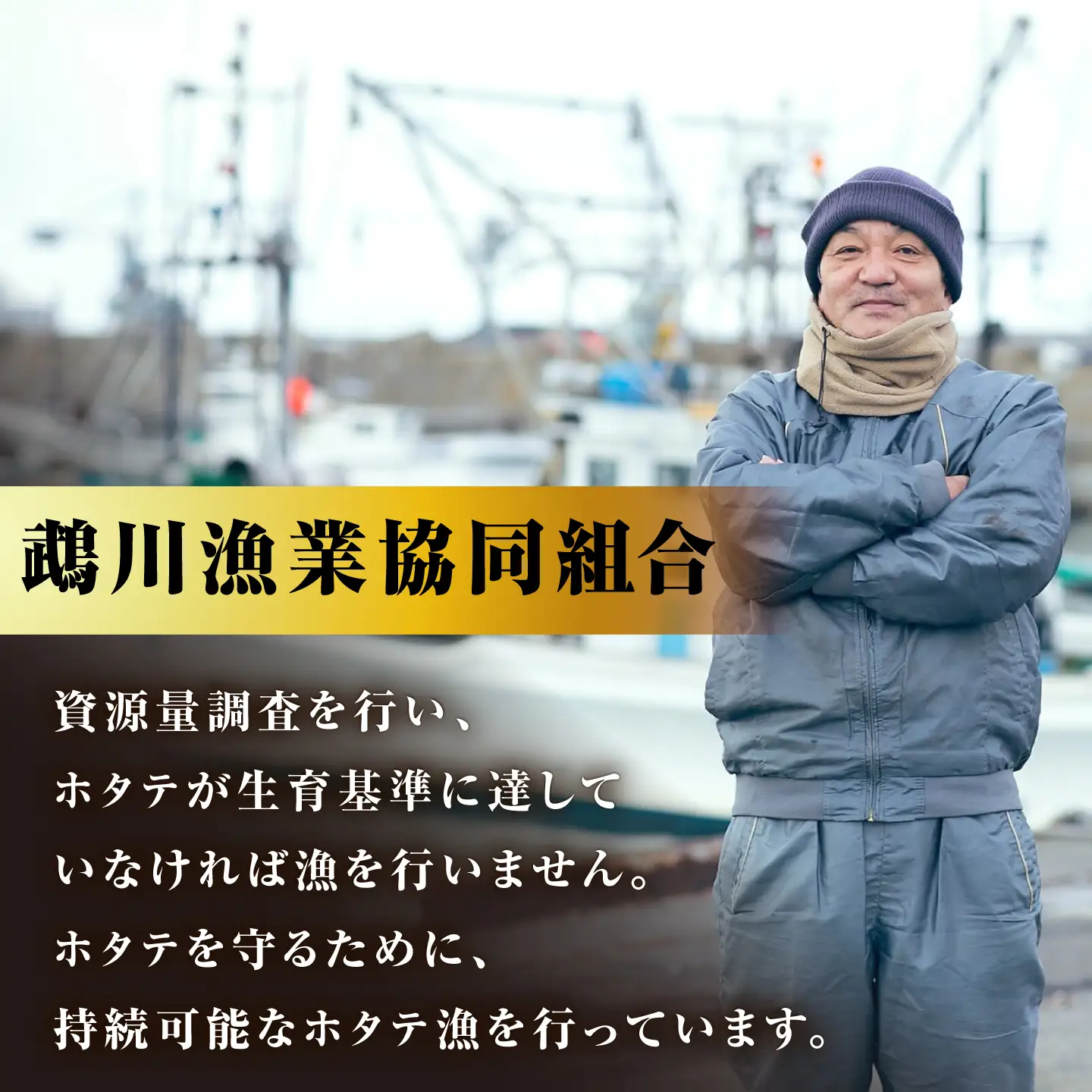 【数量限定】半殻つき 冷凍ホタテ 2袋【鵡川漁業協同組合】 ほたて [AXAL001]