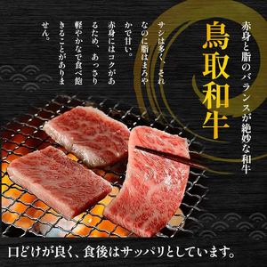 鳥取和牛 3つの部位の 焼肉 盛り合わせ 300g 黒毛和牛 国産 精肉 ブランド牛 冷凍 焼き肉 鳥取県 倉吉市 KR1234