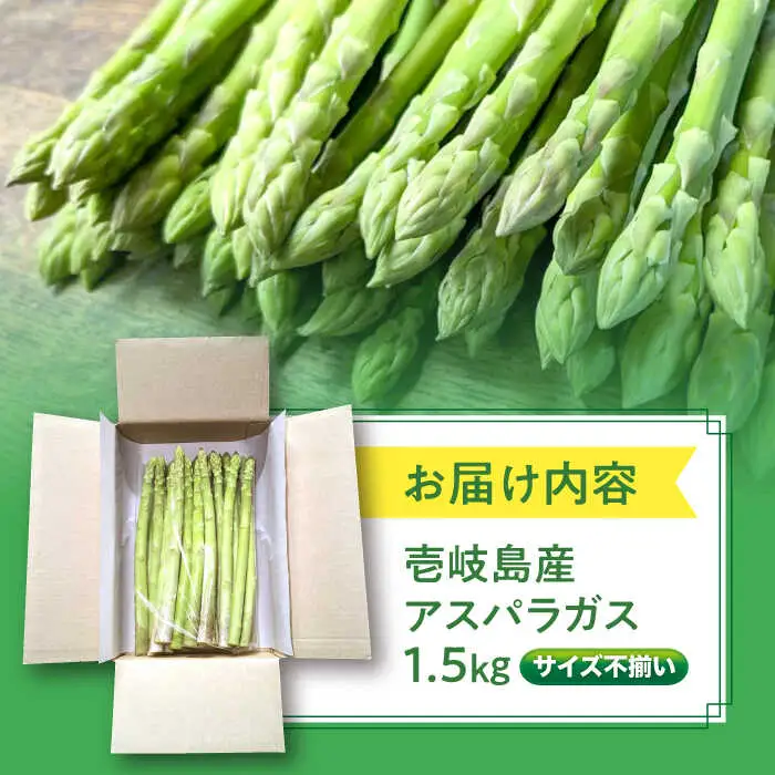 【先行予約】訳あり アスパラガス1.5kg [JGI005] アスパラ 野菜